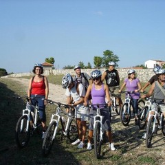 Parco Nazionale Alta Murgia, Città Aperte 2011