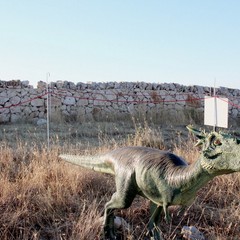 Dinosauri sulla Murgia