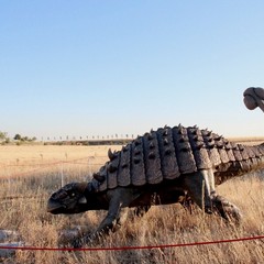 Dinosauri sulla Murgia