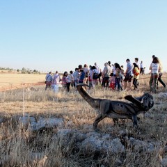 Dinosauri sulla Murgia