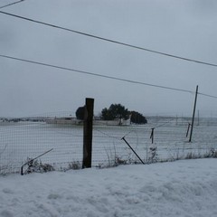 Altamura sotto la neve