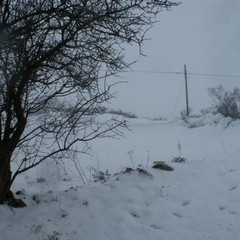 Altamura sotto la neve