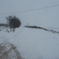 Altamura sotto la neve