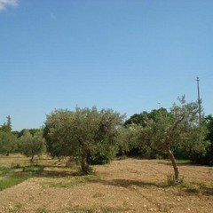 Ex Convento Cappuccini