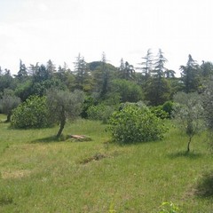 Ex Convento Cappuccini