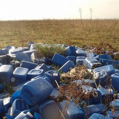 Parco dell'Alta Murgia, lo scempio