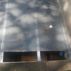 Giardino via Bari