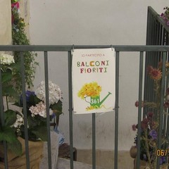 Balconi fioriti