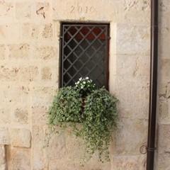 Giardini del cuore