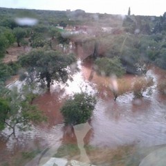 Maltempo, treno bloccato