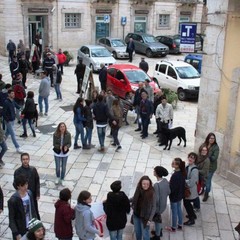 Manifestazione studentesca