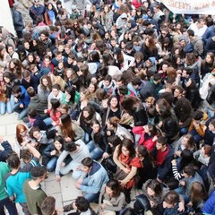 Manifestazione studentesca