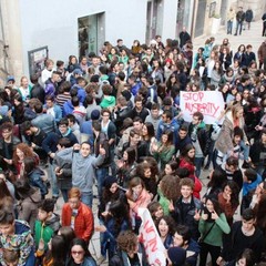 Manifestazione studentesca