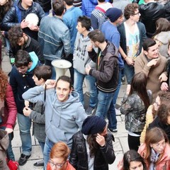 Manifestazione studentesca