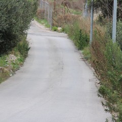 Strada fornaci