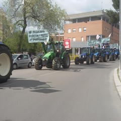 No Imu agricola, a Matera la mega-mobilitazione degli agricoltori