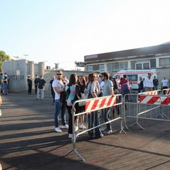 Targa Tribuna Domi Martimucci