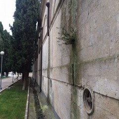 cimitero