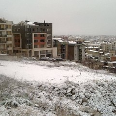 neve