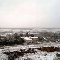 neve