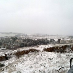 neve
