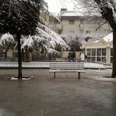 neve