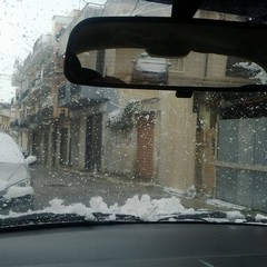 neve