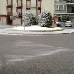 neve