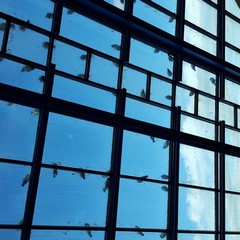 ospedale