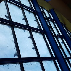 ospedale