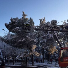 vigili del fuoco
