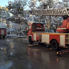 vigili del fuoco