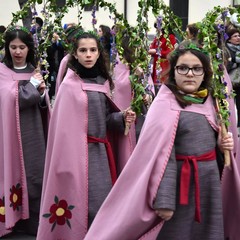 Corteo dei fanciulli dellimperatore Federicus JPG