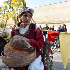 Corteo federiciano JPG