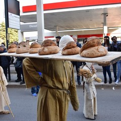 Corteo federiciano JPG