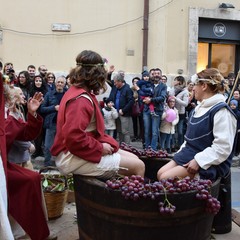 Corteo federiciano JPG