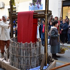 Corteo federiciano JPG