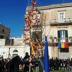 Piantumazione dell'olmo in piazza Mercadante