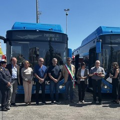 Nuovi autobus