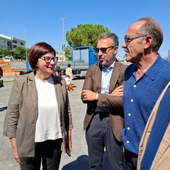 Ciliento - Paolicelli - Marino