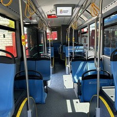 Nuovi autobus