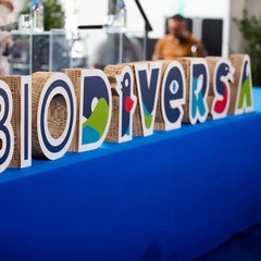 Bio Diversa