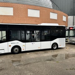 Nuovi autobus