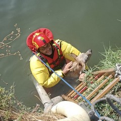 Foto Vigili del fuoco