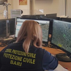 Protezione civile regionale