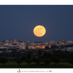 Luna dei fiori - Pietro Amendolara