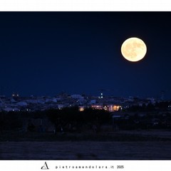 luna del cervo- pietro amendolara