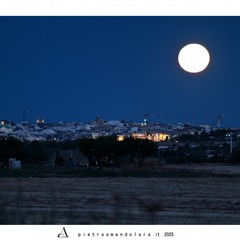 luna del cervo- pietro amendolara