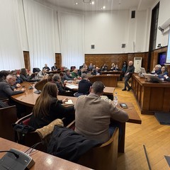 Natuzzi: incontro a Roma