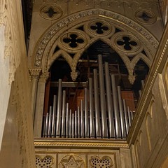 Organo della Cattedrale - foto di Onofrio Bruno